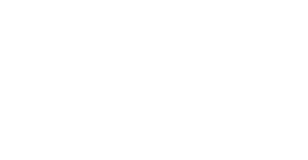PRORISE